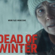Dead of Winter film poster