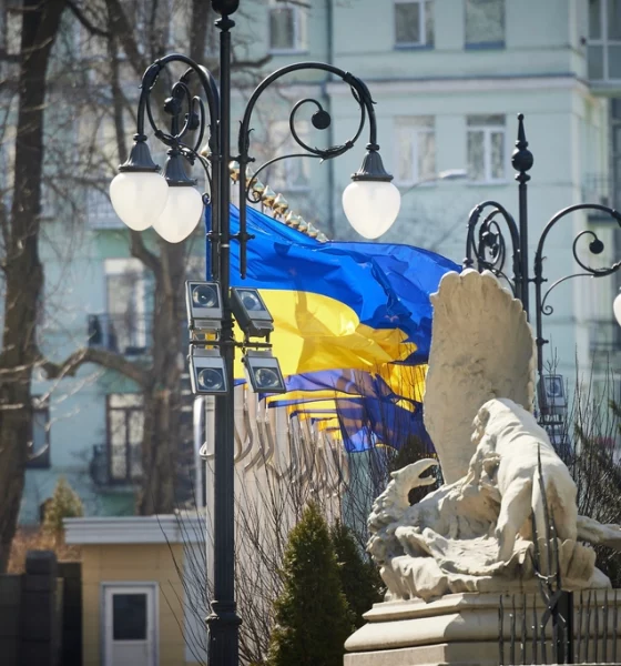 Ukraine flag